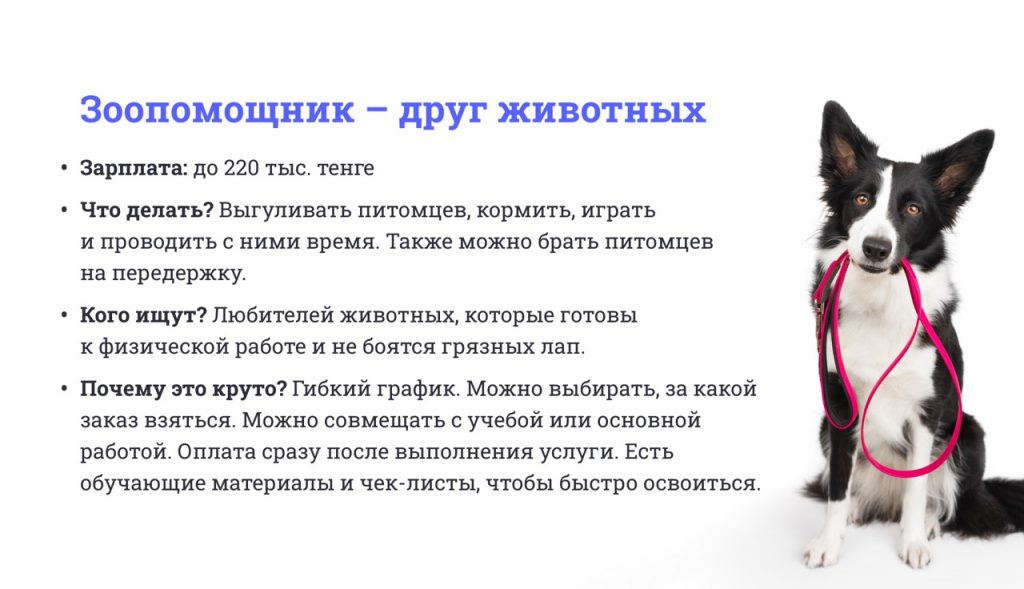 Самые необычные и интересные профессии в Казахстане: от таролога до мойщика самолетов