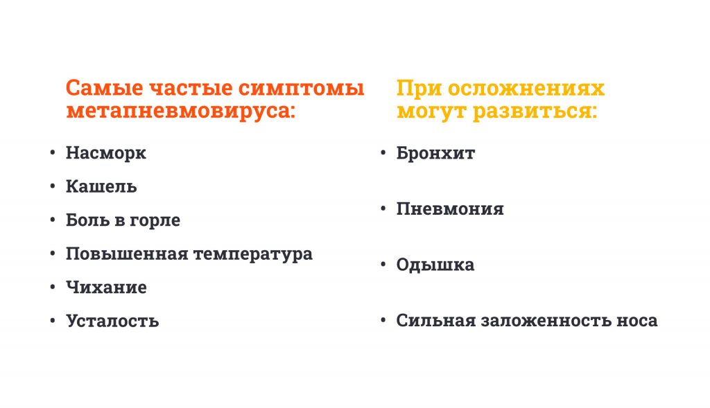 Метапневмовирус из Китая: что это за инфекция и грозит ли нам карантин